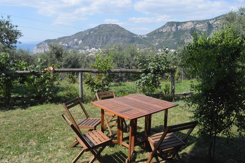 Agriturismo L'Olivara Villa Piano di Sorrento Ngoại thất bức ảnh